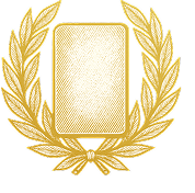 An icon of an American flag